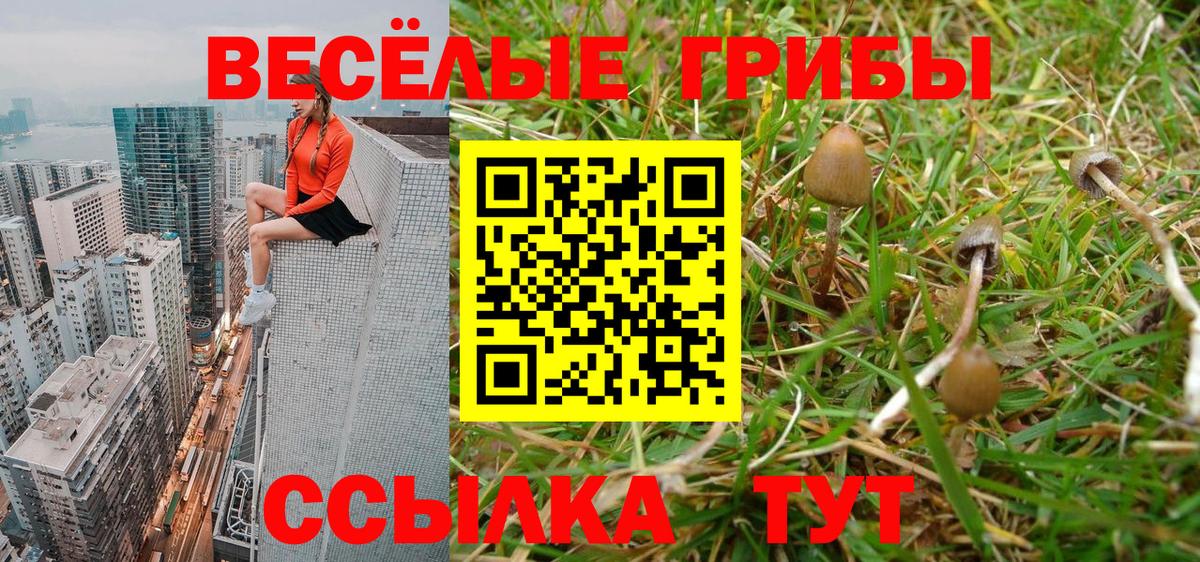 Псилоцибиновые грибы ЛСД Нефтеюганск
